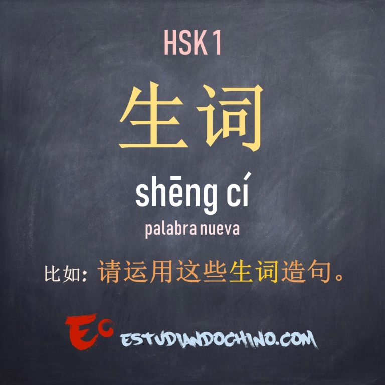 PALABRA NUEVA 生词