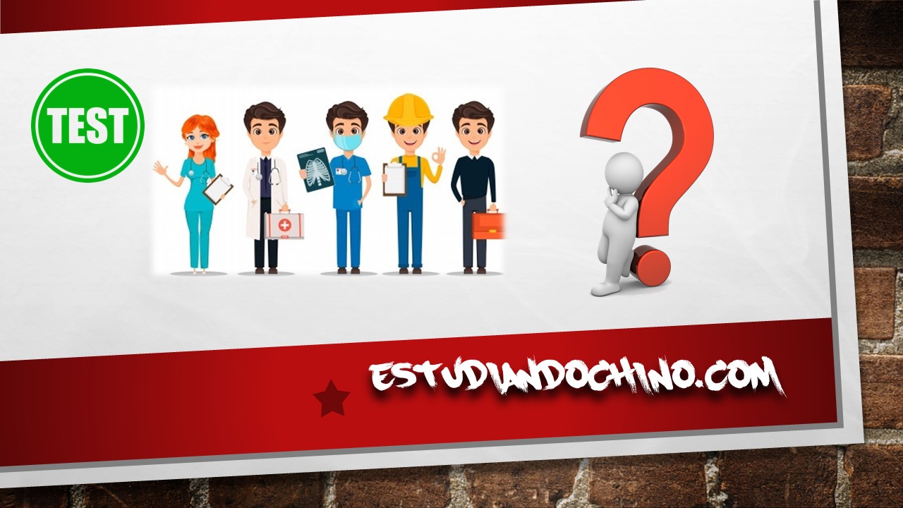 TEST – PROFESIONES